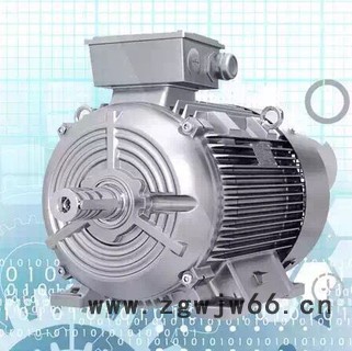 siemens/西门子 高效原厂**三相异步电机