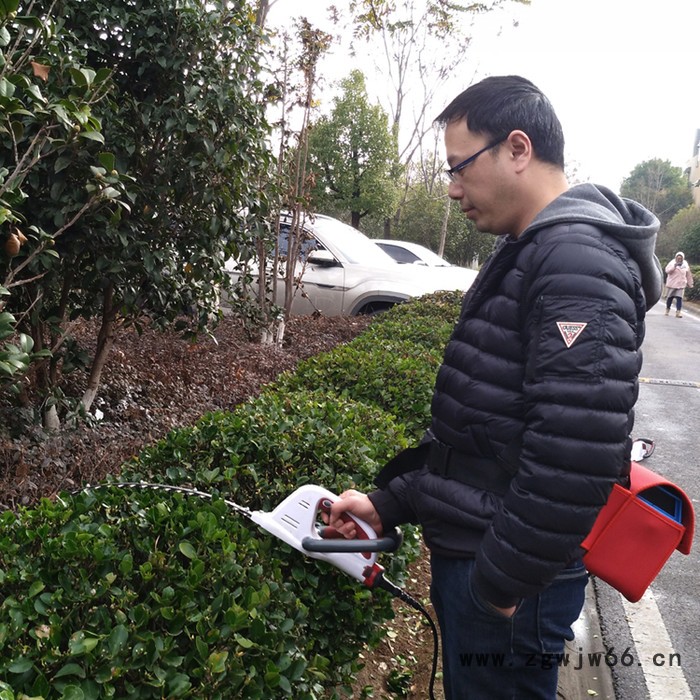 供应绿节牌锂电型无刷电机单手电动弧形修球机_修剪机_绿篱机图3