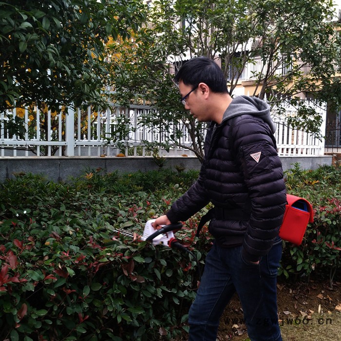 供应绿节牌锂电型无刷电机单手电动弧形修球机_修剪机_绿篱机图2