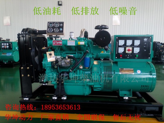 纯铜无刷电机50KW柴油发电机组 足功率 潍坊柴油发动机**图7