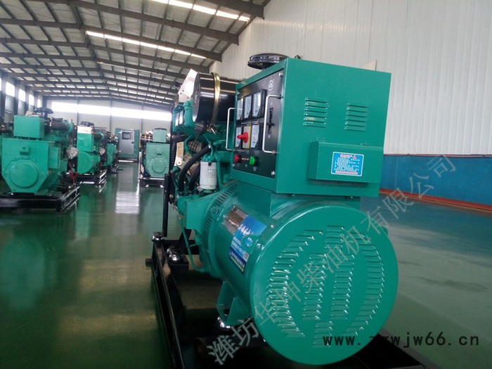 纯铜无刷电机50KW柴油发电机组 足功率 潍坊柴油发动机**图8