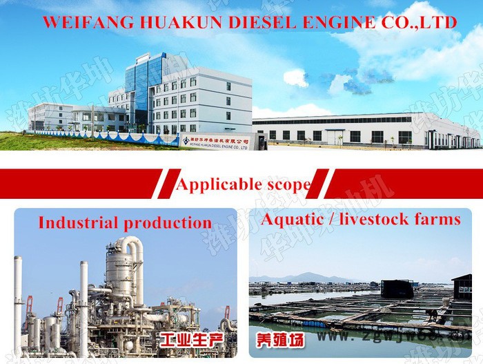 纯铜无刷电机50KW柴油发电机组 足功率 潍坊柴油发动机**图4