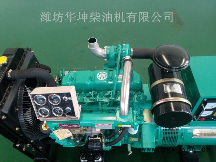 纯铜无刷电机50KW柴油发电机组 足功率 潍坊柴油发动机**图2