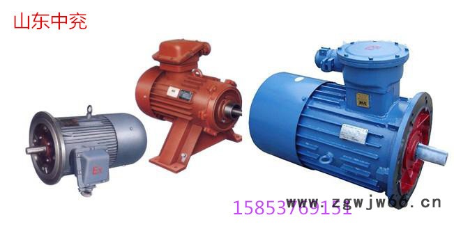山西长治DSB系列隔爆型三相异步电机DSB系列隔爆型特殊电机图2