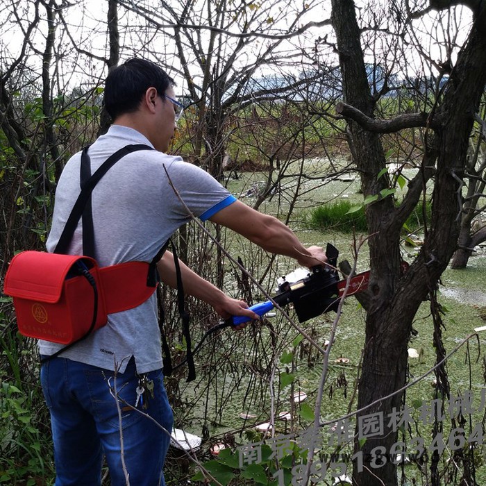 供应绿节牌锂电型10寸无刷电机电链锯_修枝锯_伐木锯图5