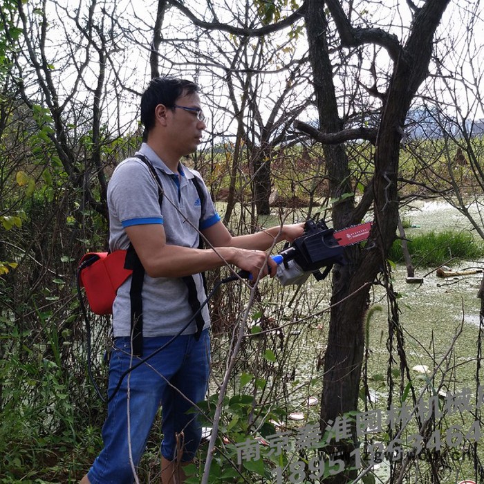供应绿节牌锂电型10寸无刷电机电链锯_修枝锯_伐木锯图4