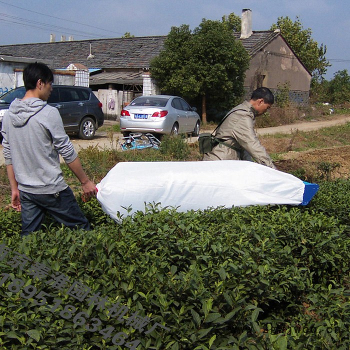 供应绿节牌锂电I型单人无刷电机电动采茶机_剪茶机_茶叶机械图4
