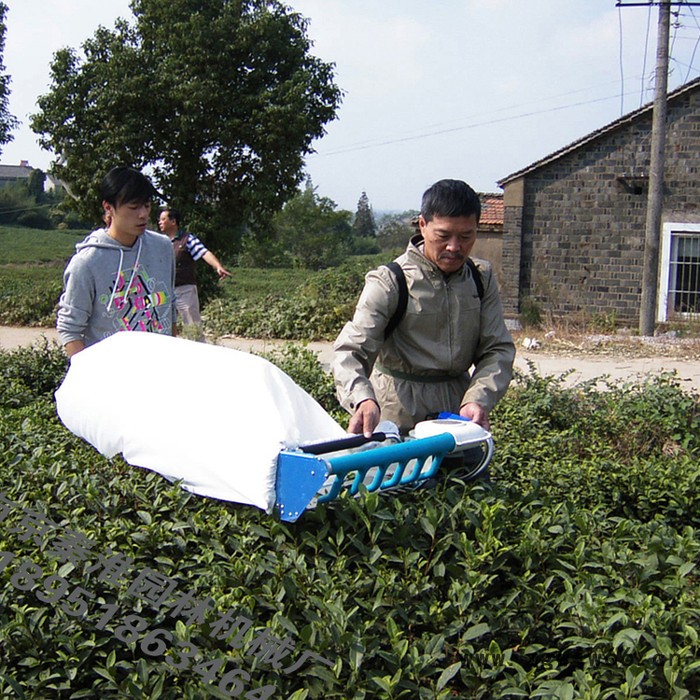 供应绿节牌锂电I型单人无刷电机电动采茶机_剪茶机_茶叶机械图5