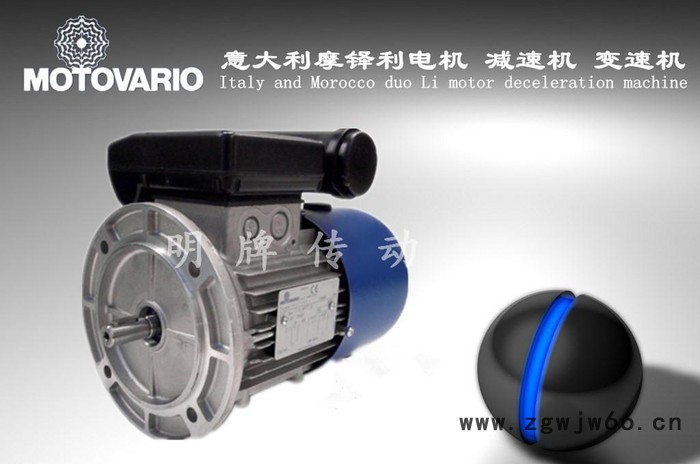 原装进口马达 一级代理意大利MOTOVARIO电机，进口MO