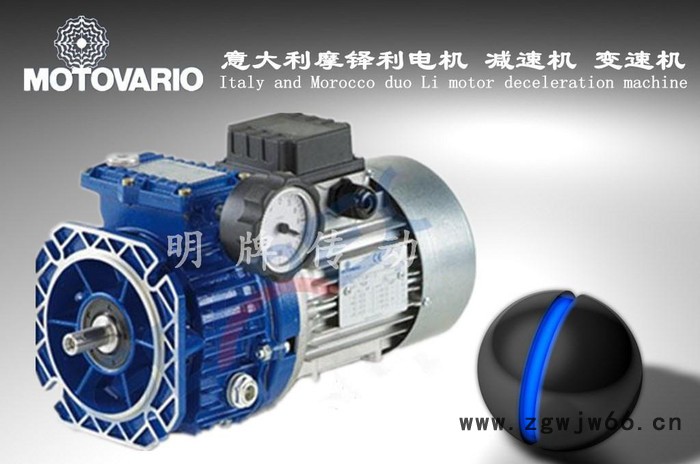 原装进口马达 一级代理意大利MOTOVARIO电机,进口MO图2