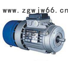 意大利原装进口MGM刹车电机图2