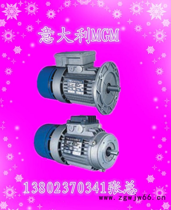 上海MGM刹车电机原装进口刹车马达现货图2