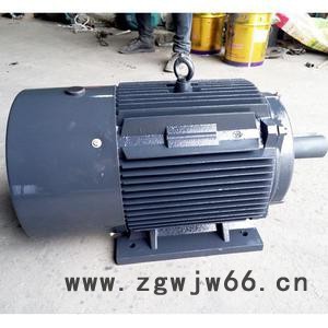 水泥厂用380V三相异步电机/YE2-315M3-4-200kw电机/水泥厂设备配套电机图2