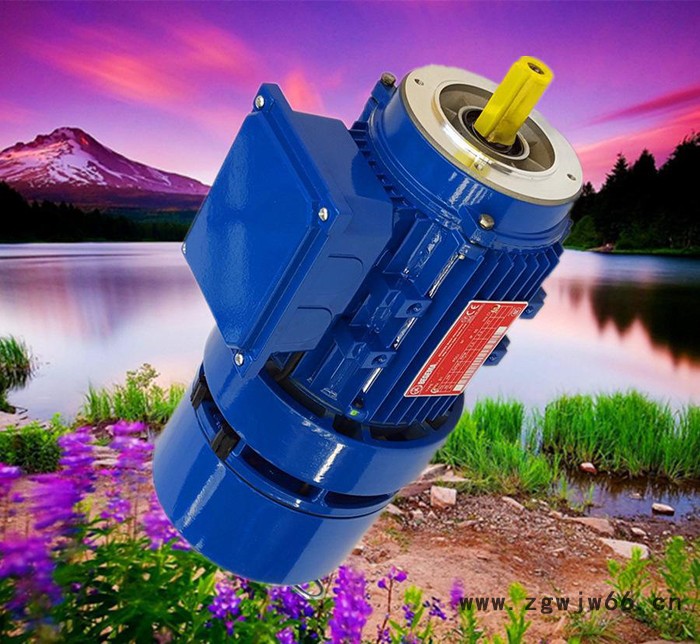 无锡刹车马达，苏州刹车电机，意大利进口刹车电机，BMA，BMD图3