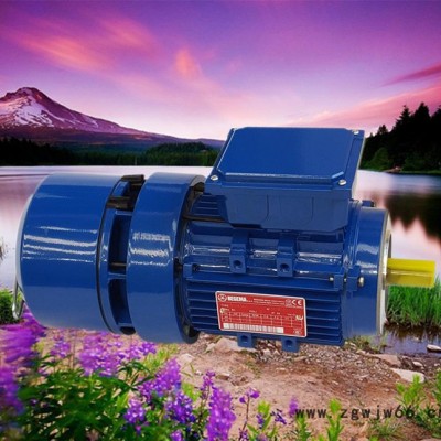 无锡刹车马达，苏州刹车电机，意大利进口刹车电机，BMA，BMD