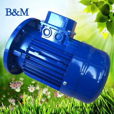 日本现货销售意大利BGM马达，进口电机马达，BM130s-4