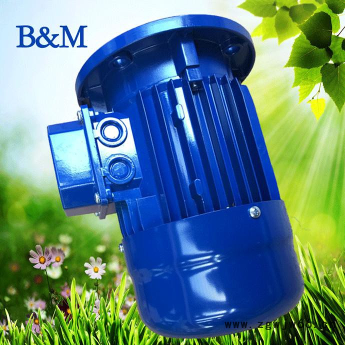 日本现货销售意大利BGM马达，进口电机马达，BM130s-4图3