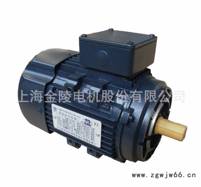 上海金陵电机三相交流异步电机YSJ7124 超高效电机  电动机**图1