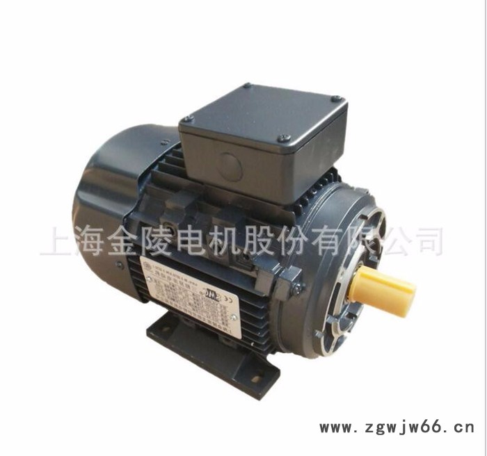 上海金陵电机三相交流异步电机YSJ7124 超高效电机  电动机**图4