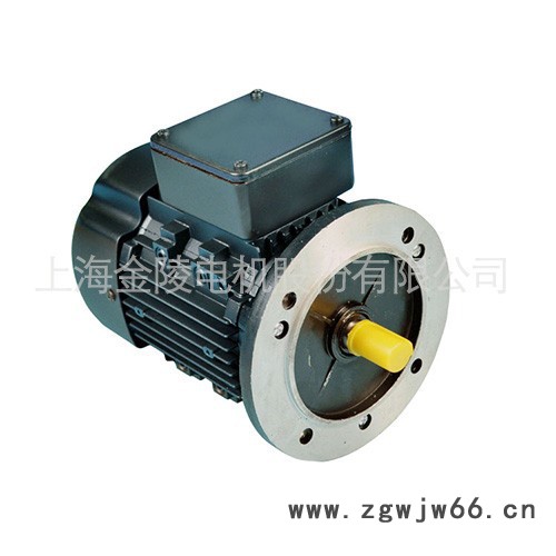 上海金陵电机三相交流异步电机YSJ7124 超高效电机  电动机**图3