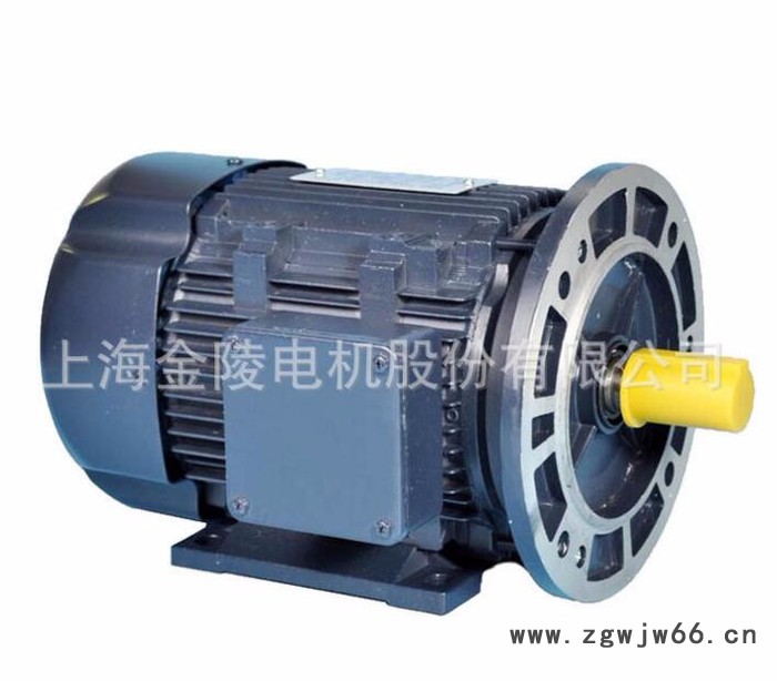 上海金陵电机三相交流异步电机YSJ7124 超高效电机  电动机**图2