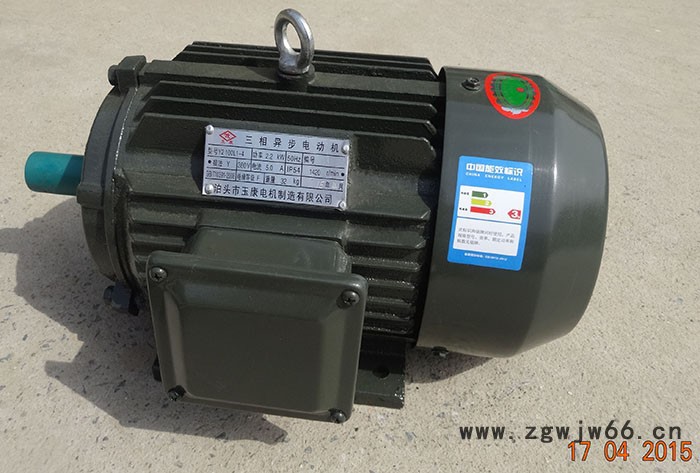 厂家供应Y系列三相异步电机Y180L-4-22KW/1400转国标 电动机图4