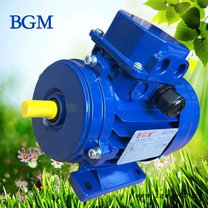 代理销售意大利BGM马达，进口电机马达，BM63B4-0.18KW电机图2