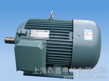 直销Y315S-2  110KW三相异步电机 电动机  现货 国标 全铜图2