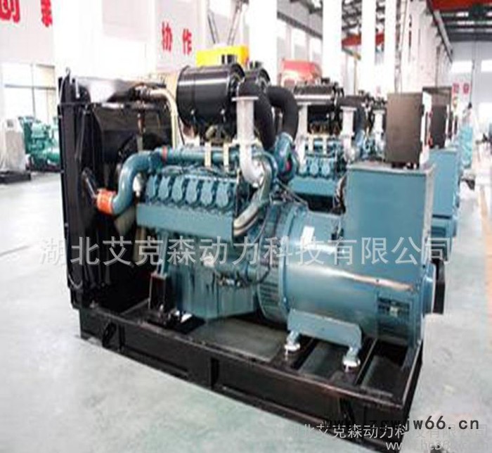 进口柴油发电机组,柴油发电机组,大宇发电机,进口发电机组,湖北发i图2