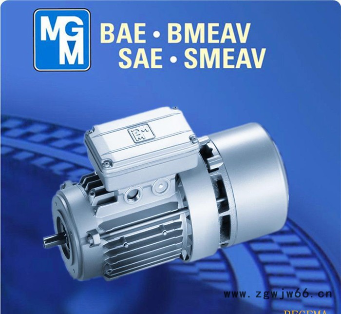 苏州代理意大利原装进口MGM电机，原装**MGM制动马达，BA90SA2图3