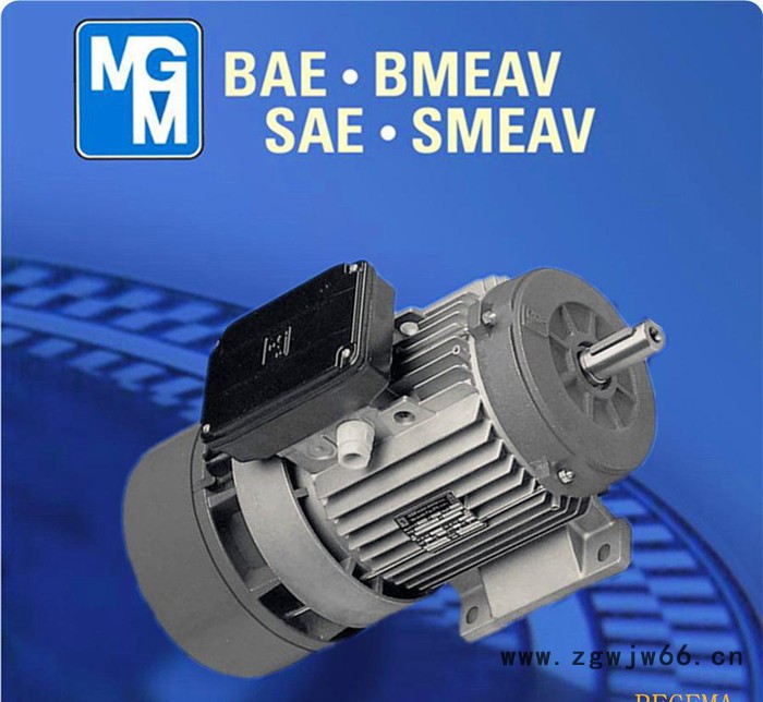 苏州代理意大利原装进口MGM电机，原装**MGM制动马达，BA90SA2图2
