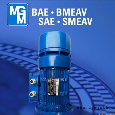 苏州代理意大利原装进口MGM电机，原装**MGM制动马达，BA90SA2
