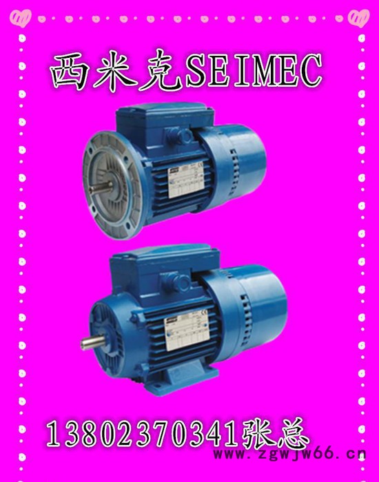 意大利原装进口西米克刹车电机中国总代理图3