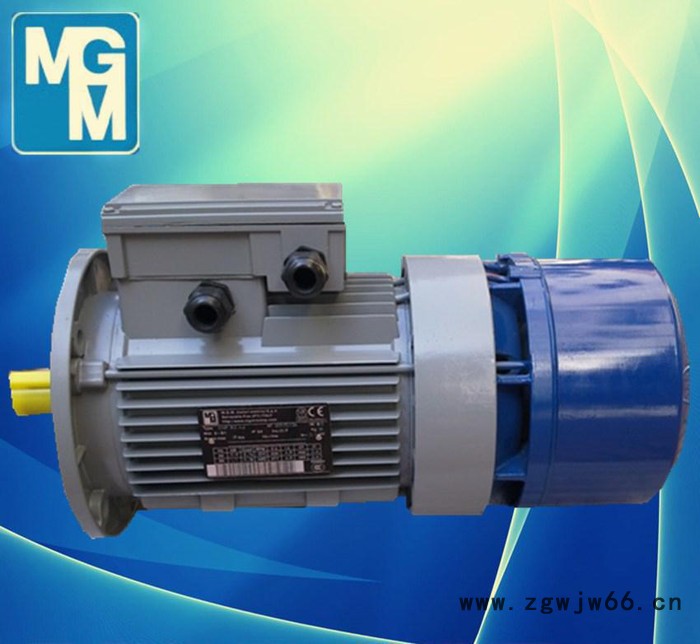 进口MGM刹车电机，MGM刹车马达，原装进口，一级代理，特价图2