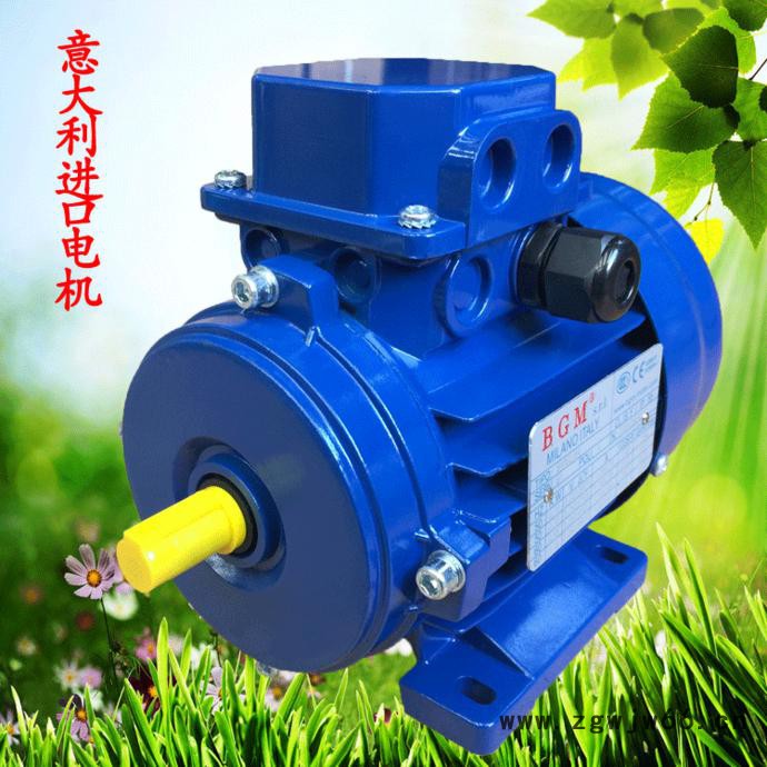 苏州销售意大利BGM马达，进口电机马达，BM100L2-3KW电机图2