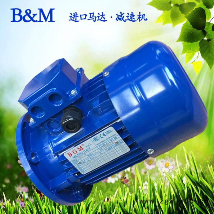 苏州销售意大利BGM马达，进口电机马达，BM100L2-3KW电机图3