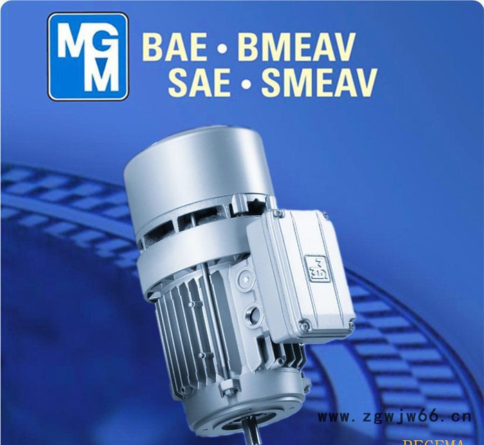 意大利原装进口MGM刹车电机,原装MGM制动马达,BA90LA2图2