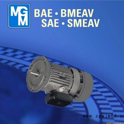 意大利原装进口MGM刹车电机，原装MGM制动马达，BA90LA2