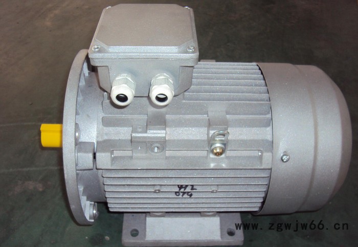 HFL系列（Y2、YX3、YE2)三相异步电机批发图2