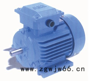 M2QA系列三相异步电机 宽电压设计 出口电机 S1工作制图2