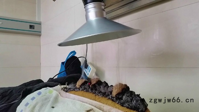 吾家-激光烟雾净化器，大功率直流无刷电机，激光打标印刷专用净化器。图6