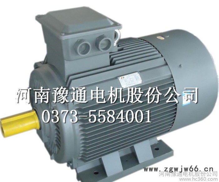 3千瓦-355千瓦 三相异步电机 Y2 Y2 315S-2 110kw 厂家 价优 供货快图2