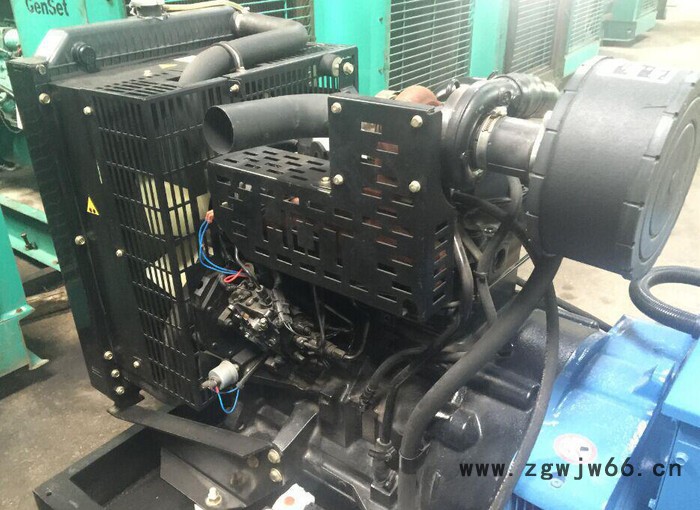 柴油发电机组进口柴油发电机西电强鹿发电机24KW图2