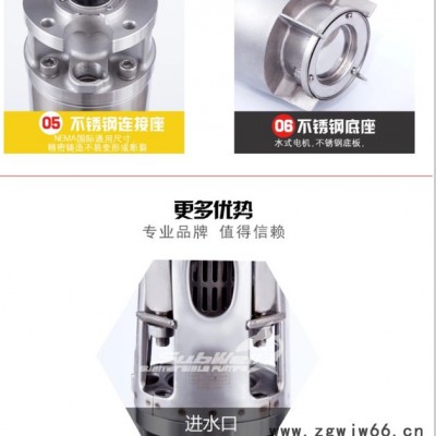 鲨威不锈钢304 地热开发温泉泵水式屏蔽电机进口泵