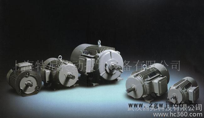 德国原装西门子进口电机