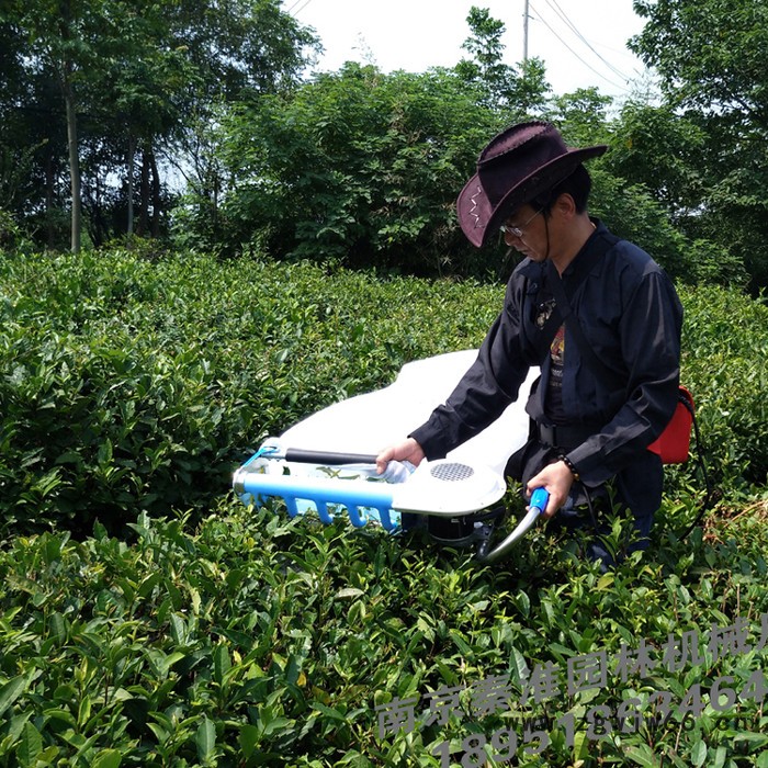 供应绿节牌锂电型Ⅱ型单人无刷电机电动采茶机_剪茶机_茶叶机械图2