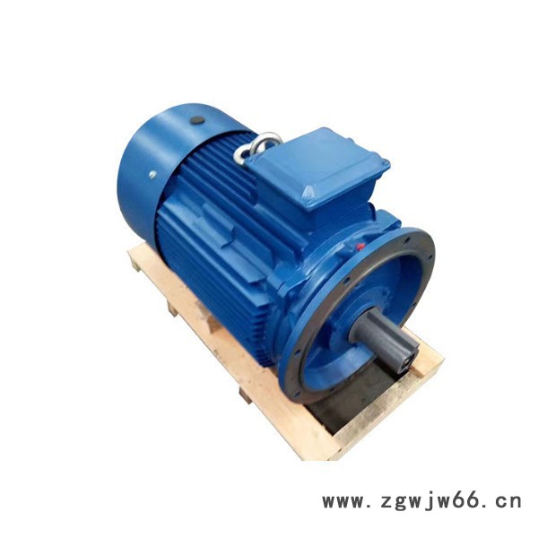 猛力电机YE2系列立卧式三项电机 YE2-180M-4-18.5KW 节能微型马达电机批发 三相异步电机图3