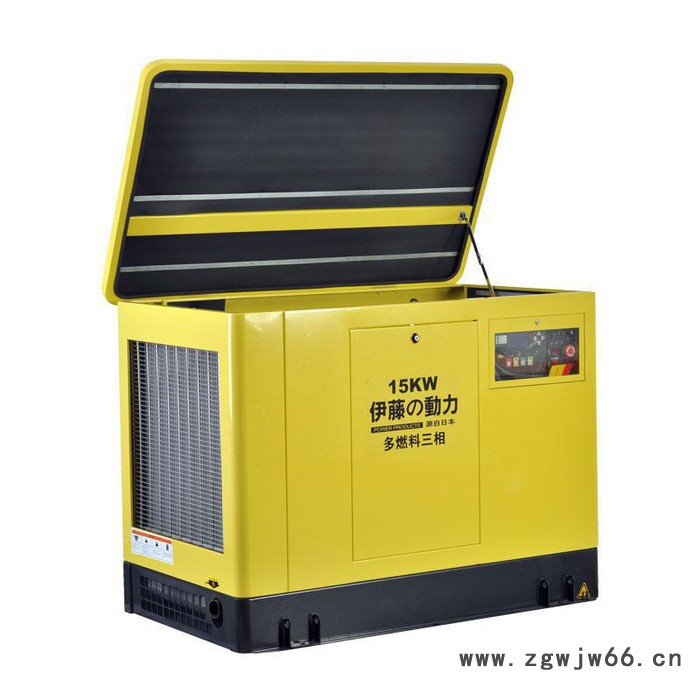 伊藤 15KW多燃料汽油发电机 日本伊藤15KW多燃料汽油发电机 日本进口15KW多燃料汽油发电机图4