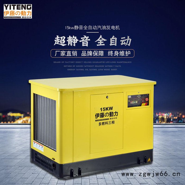 伊藤 15KW多燃料汽油发电机 日本伊藤15KW多燃料汽油发电机 日本进口15KW多燃料汽油发电机图2