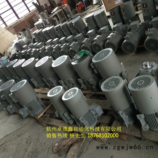 西门子电机1LE0001系列电机 高能效节能电机 进口西门子电机供应非标电机、减速电机、各类机械设备专用电机-加工定制图3